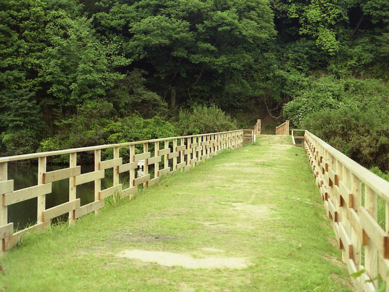 木製生き物フェンス|中川木材産業